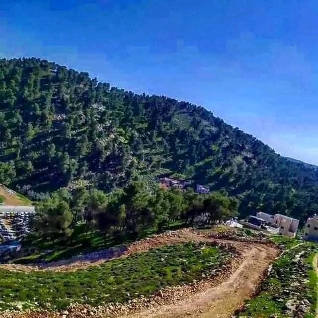  | موسوعة القرى الفلسطينية